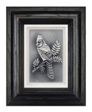 The Blue Jay — Framed 5 x 7
