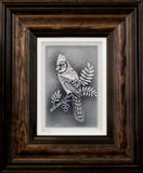 The Blue Jay — Framed 5 x 7