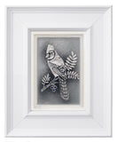 The Blue Jay — Framed 5 x 7