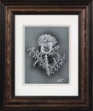 Thistle — Framed Hand-Carved Fine Art Glass