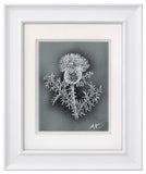 Thistle — Framed Hand-Carved Fine Art Glass