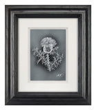 Thistle — Framed Hand-Carved Fine Art Glass